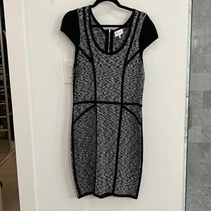 Milly Space Dye Dress